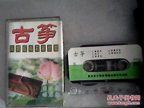 唱片與通訊音像 從文化生活到收藏雜項(xiàng)的復(fù)調(diào)敘事
